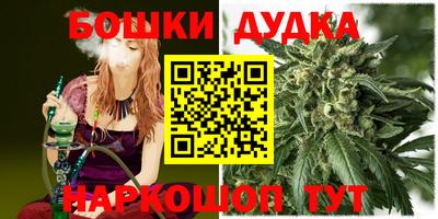 мдпв Гагарин