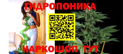 молекула духа Гай