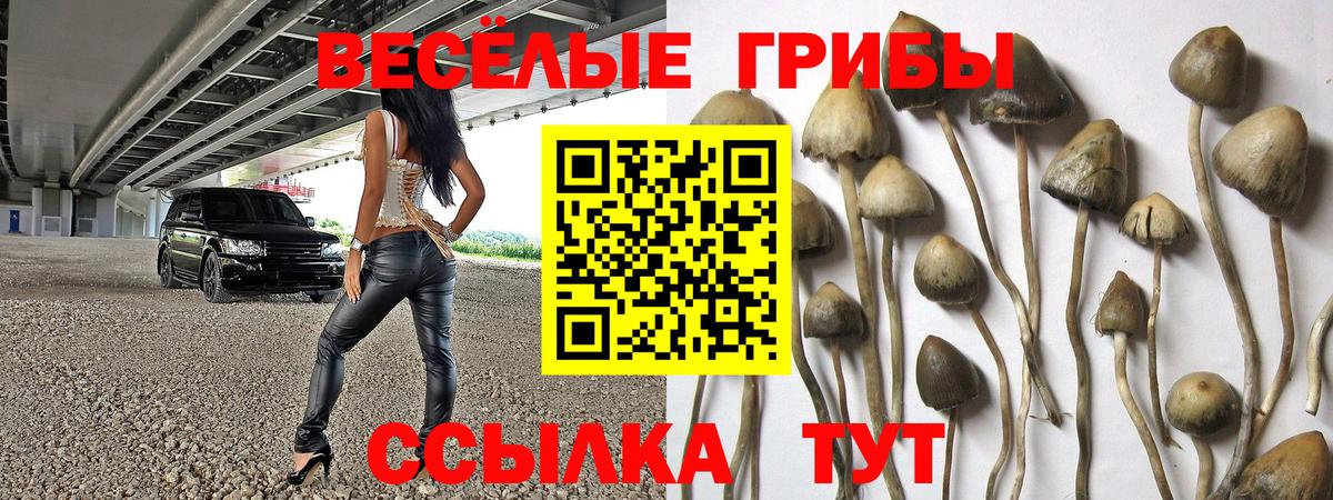 Псилоцибиновые грибы мухоморы  Вход с VPN  Галлюциногенные грибы Magic Shrooms  Верхняя Пышма 